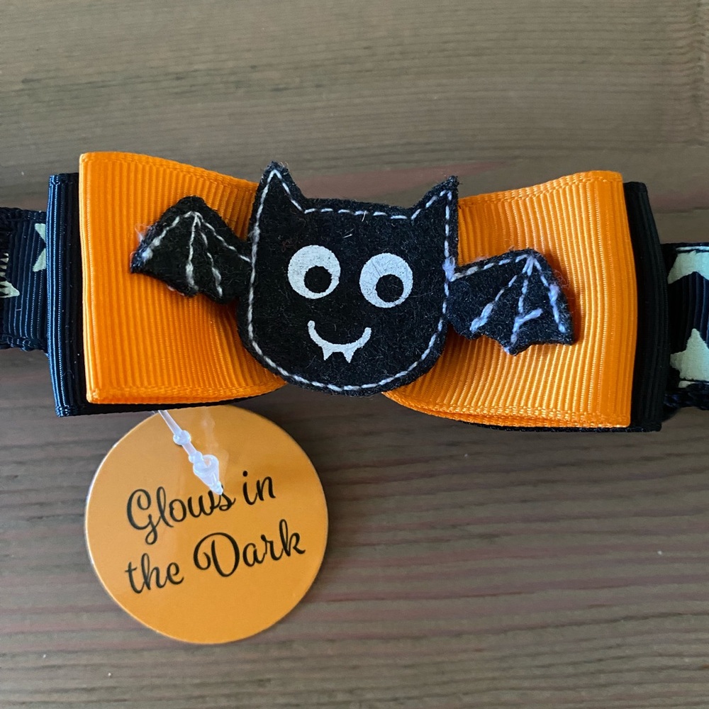 Thrills & Chills Collection ‘Howl-o-ween’ dog collar